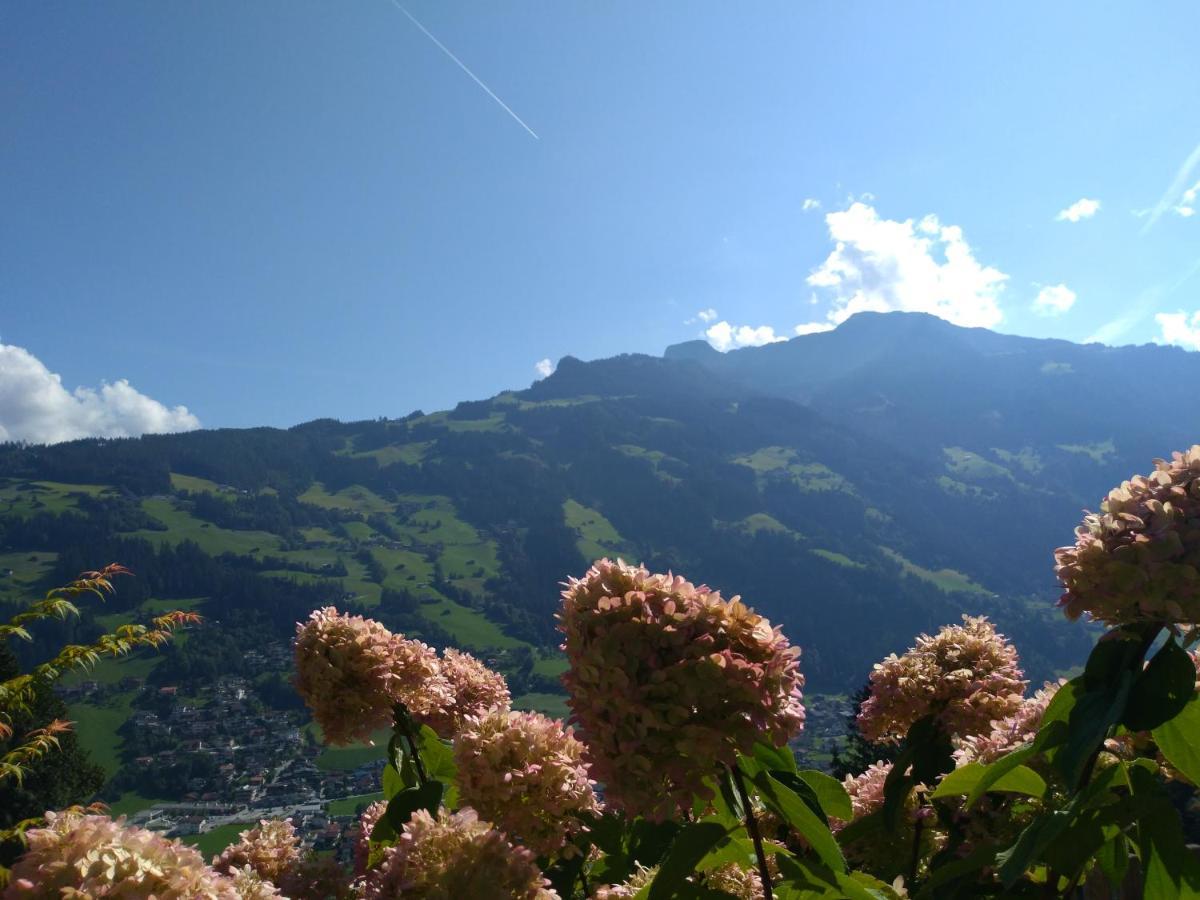 Zillertal Apartment mit Traumausblick - Haus Kirchler Hippach Exterior foto
