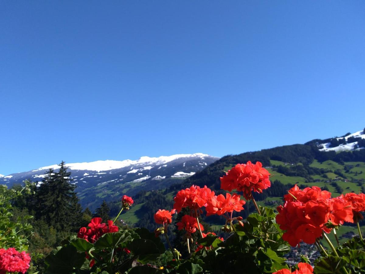 Zillertal Apartment mit Traumausblick - Haus Kirchler Hippach Exterior foto