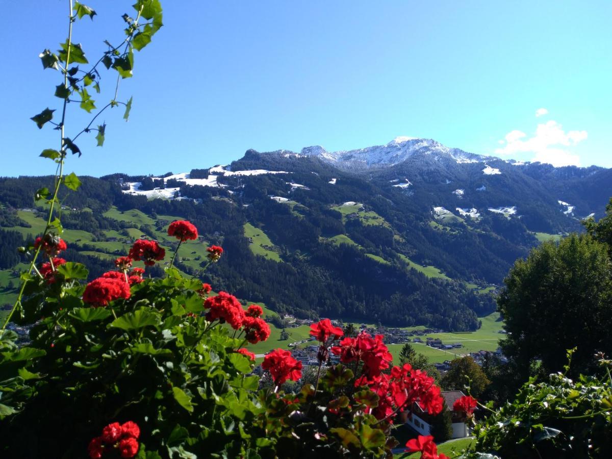 Zillertal Apartment mit Traumausblick - Haus Kirchler Hippach Exterior foto